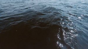 ЛОВЛЮ СУДАКА НА ТРЯПКИ, ВОЗДУШНЫЕ ШАРИКИ, САМОДЕЛЬНЫЙ ПОРОЛОН!