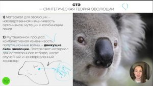 БИОЛОГИЯ ЕГЭ - Синтетическая теория эволюции