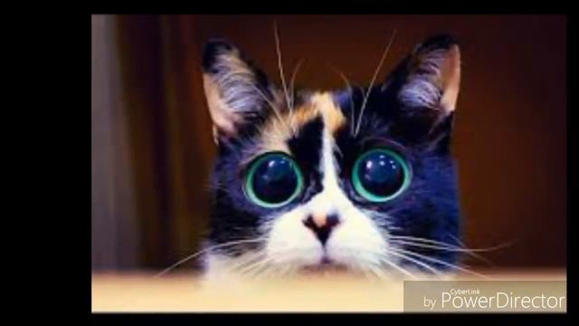 Наш любимый Куки))) Лучше моменты в его жизни)) смотреть онлайн