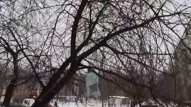 DSCN4887 23 02 2017 Г ИДУ В МАГАЗИН - ВСТРЕЧАЮТ !!! смотреть онлайн