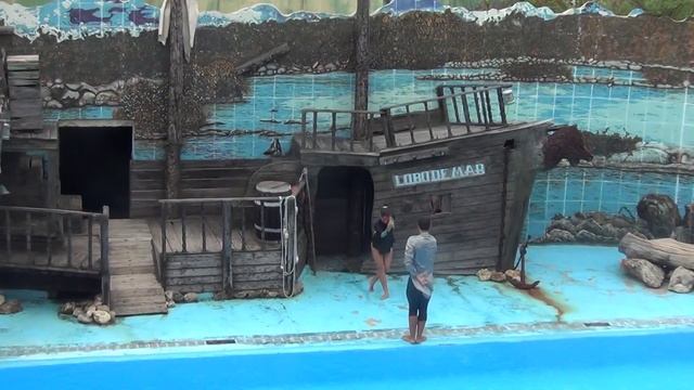 ACUARIO NACIONAL DE CUBA EN LA HABANA смотреть онлайн