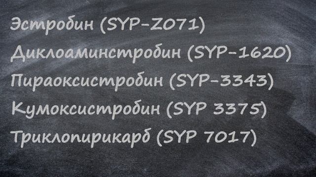 Стробилурины - выбираем фунгицид смотреть онлайн