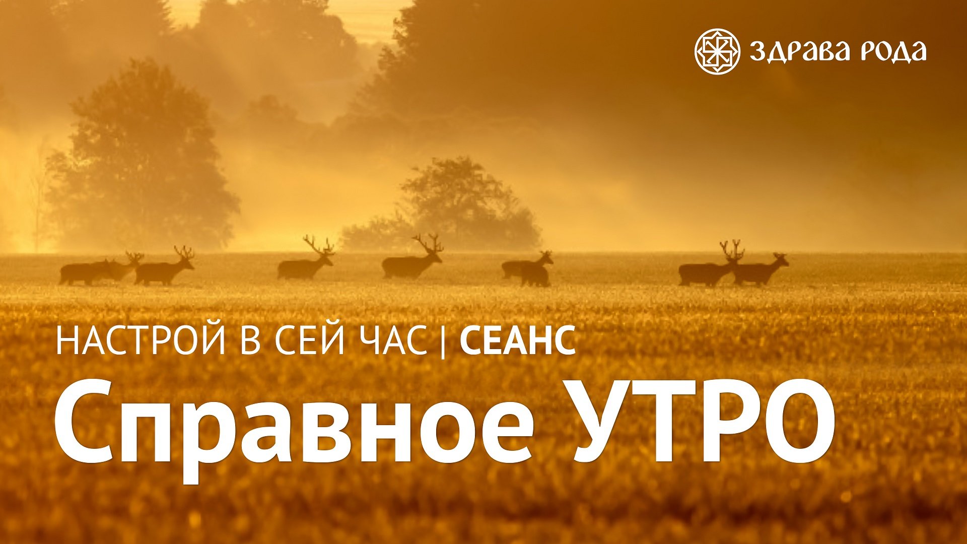 Справное Утро. Оздоровительный сеанс Здравы РОДА. смотреть онлайн