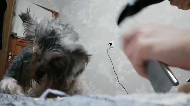 МОЙ ВЕЧЕР! 😻😻ЧТО Я ДЕЛАЮ ПЕРЕД СНОМ?! МОИ ПРОЦИДУРЫ💞 смотреть онлайн