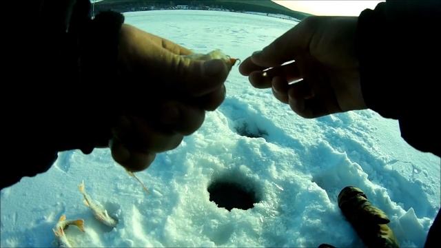 Ловля окуня на балансиры компании Страйк Про, серия Ice Baby!!! смотреть онлайн