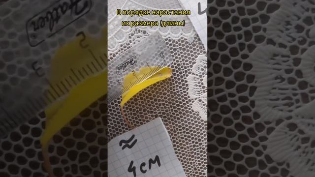 Лабораторная работа «Модификационная изменчивость» ученица 9-В класса О.К. Маариф Саминова Назбийке смотреть онлайн