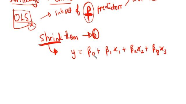 Introduction to Shrinkage Methods смотреть онлайн