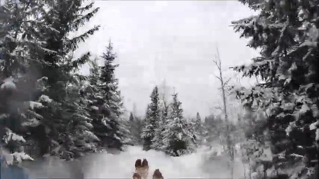Гонка-тренировка "Снежная метель" смотреть онлайн