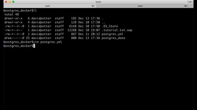 Running a PostgreSQL Database in a Docker Container смотреть онлайн