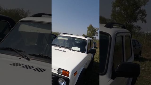 Новые Нивы в Рассии их цены. Жаны Нива баасы рассияда смотреть онлайн