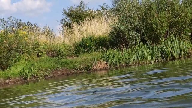 г. Котово, Волгоградская обл.(05.08.23) смотреть онлайн