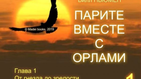 Парите вместе с орлами. Часть 1. Б. Ньюмен