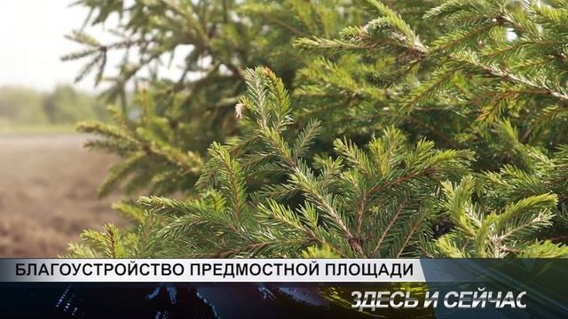 БЛАГОУСТРОЙСТВО ПРЕДМОСТНОЙ ПЛОЩАДИ смотреть онлайн