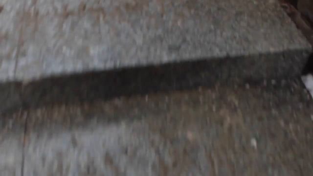 CAT CAFE IN QUEBEC | Vlogmas Day 12 смотреть онлайн