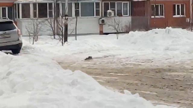 Новые дома , Хабаровск смотреть онлайн