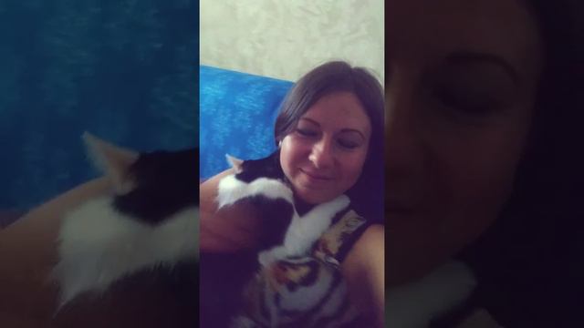 Приходишь домой, а здесь тебя так встречают. смотреть онлайн