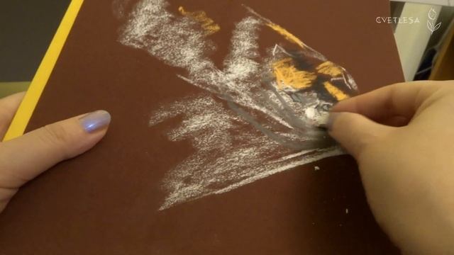 ?В зимний вечер рисую мою кошку сухой пастелью на наждачке ? Pastel смотреть онлайн