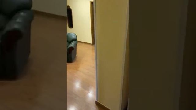 3-комн. кв. 123 кв.м., 2/10 эт., ул. Ленина-Ибрагимова, 44 смотреть онлайн