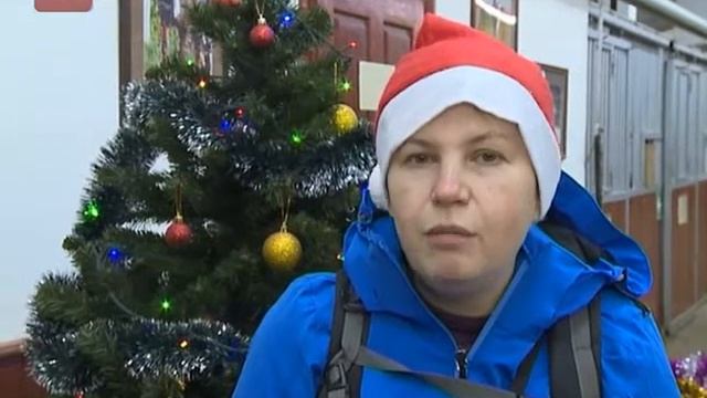 В Ермолинском конноспортивном клубе поставили новогоднюю елку смотреть онлайн