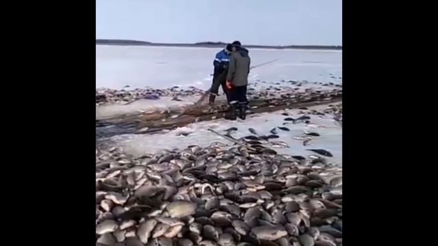 Рыбаки приколы на рыбалке 2020/Пьяные на рыбалке 2020/Девушки на рыбалке 2020 смотреть онлайн