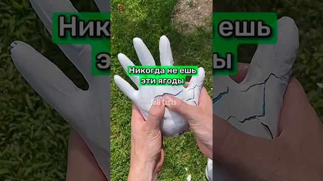 ЭТО СМОГУТ СДЕЛАТЬ 13% ЛЮДЕЙ смотреть онлайн
