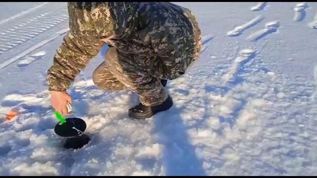 Демонстрация жерлицы для ловли ЩУКИ. смотреть онлайн