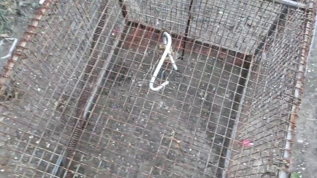 Ловушка для кота / или как поймать кота / для Сазона смотреть онлайн