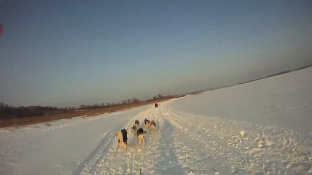 Снежная межура - САША смотреть онлайн