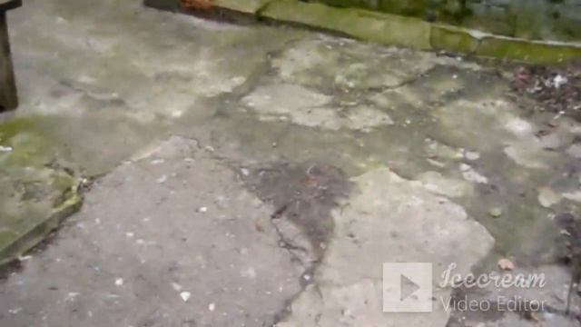 Славянск / АНОМАЛЬНО ТЁПЛАЯ !!! / Славянск сейчас Slavyansk / ANOMALY WARM!!! / Slavyansk now смотреть онлайн