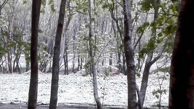 Июньский снегопад в г. Мурманске