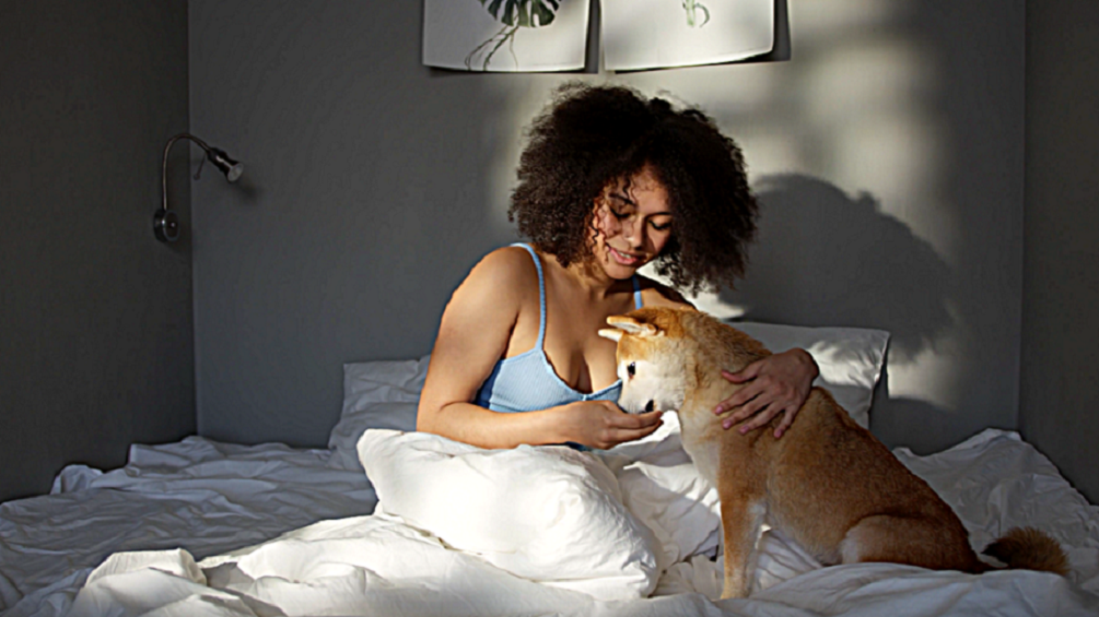 Утро ДЕВУШКИ с СОБАКОЙ!.mp4 смотреть онлайн