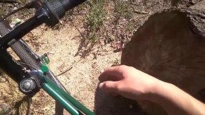 Первые впечатления от планетарки Shimano SG 3C41 Nexus Inter 3