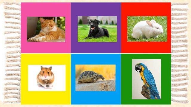 Английский для детей. Pets. Учим английский играя. смотреть онлайн