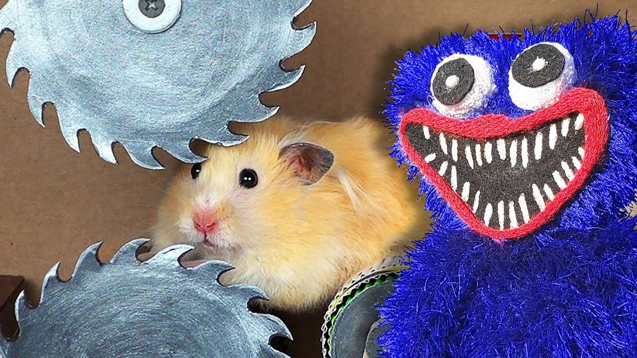 Хомяк Рома Попал Под Пилу, Но Хаги Ваги Его Спас. Желейный Пёс Стасик Одобряет. смотреть онлайн