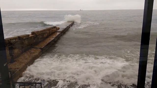 Чайки, море и туман. Весна на пороге. Крым, Судак, набережная смотреть онлайн