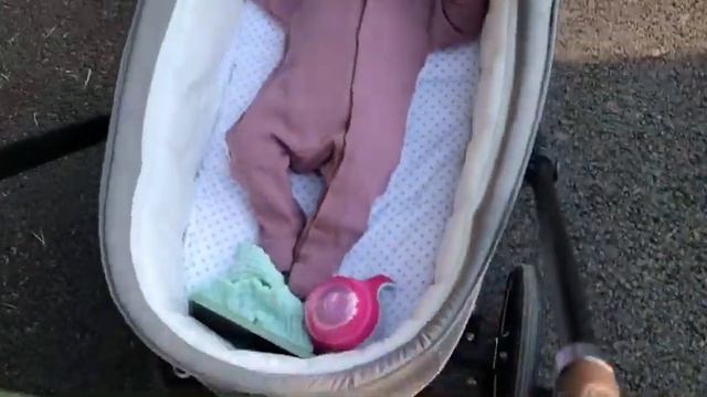 НОВАЯ КОЛЯСКА? ? первая прогулка ? прогулка с реборном ? day with reborn ? смотреть онлайн