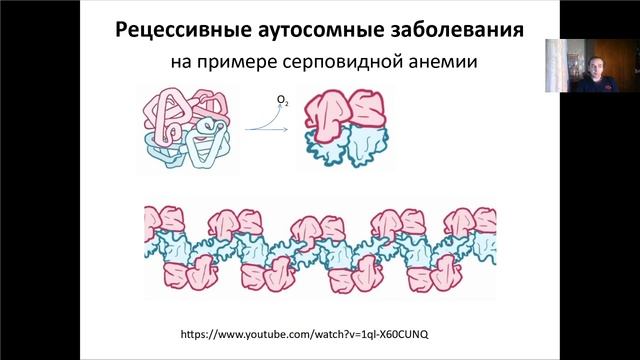 Основы молекулярной и клеточной биологии, Лекция 8. Мутации и мутагенез.