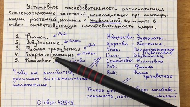 Систематика в ЕГЭ смотреть онлайн