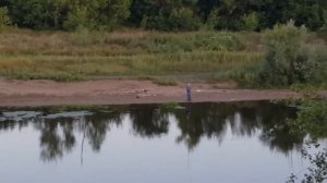 ЛОВЛЯ СОМА НА ВОРОНУ, МЫЛО, ПЕРЛОВИЦУ ,ВОЙЛОК, ПИЯВКУ, ДИЧЬ, ОБЗОР РЫБАЛКА В ТРЕНДЕ ТОП