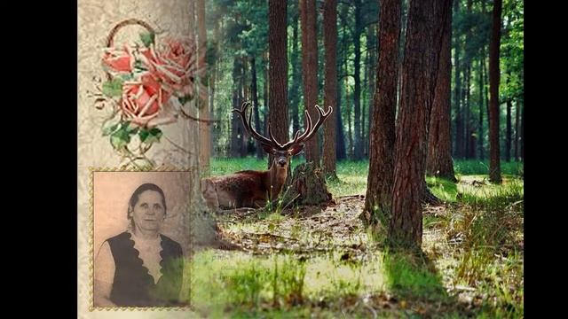 Книга о матери. смотреть онлайн