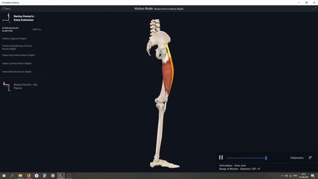 Тренировки для красивого тела и здоровья