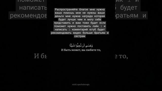Махди аш-Шишани #коран #коранисунна #корандлядуши #аяты #сура #сурыкорана #суры #ислам #единобожие смотреть онлайн