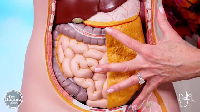 How to do a Total Body Detox Part 2 | Dr. Janine Live смотреть онлайн