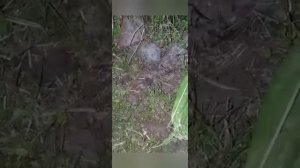 Избавляемся от земляных ОС.