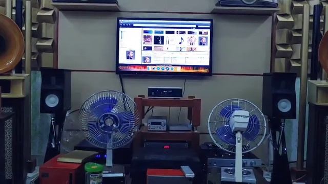 Raidho X-monitor LE test 6 смотреть онлайн
