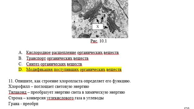 10 класс Биология 1 четверть СОЧ ОГН смотреть онлайн