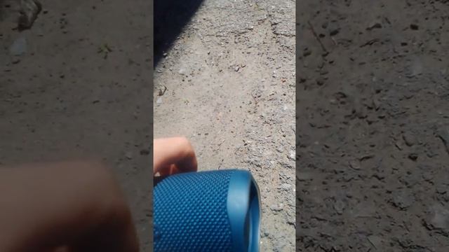 Басс тест флип 5 смотреть онлайн
