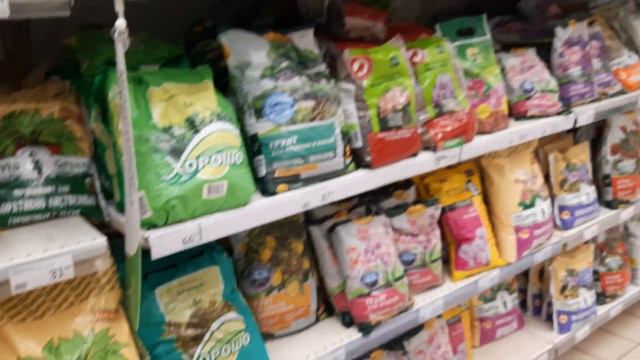 АШАН СБС.ОБЗОР ОРХИДЕЙ//27.01.24// смотреть онлайн