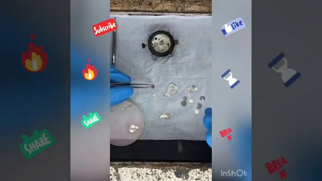 reef/tiger/watch/ how/service/and/cleaning/machine/at/home/easily смотреть онлайн