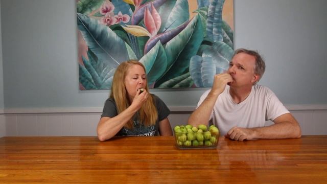 'Thai Giant' Indian Jujubes - Growing Jujube Fruit in Florida смотреть онлайн